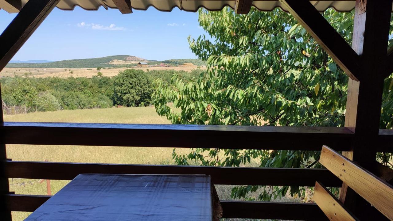 Casa Laur Hotel Băile Felix Екстериор снимка